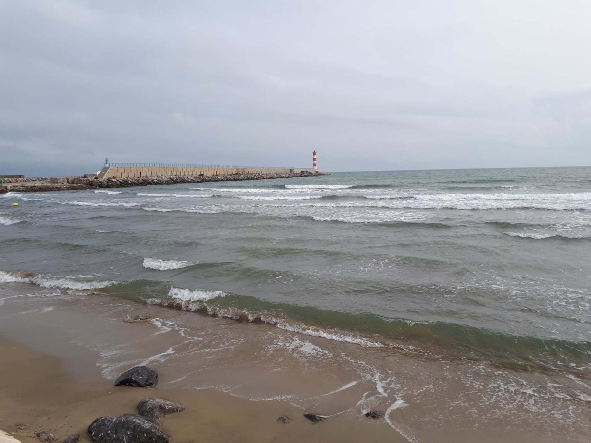 Le Mieukerien - Reserve Africaine 15 Mn, Plage 200M, Terrasse Port-la-Nouvelle Bagian luar foto